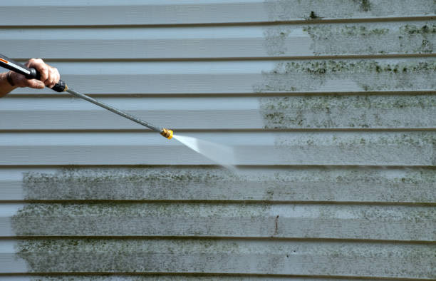 Trusted Adwolf, VA Pressure Washing Experts
